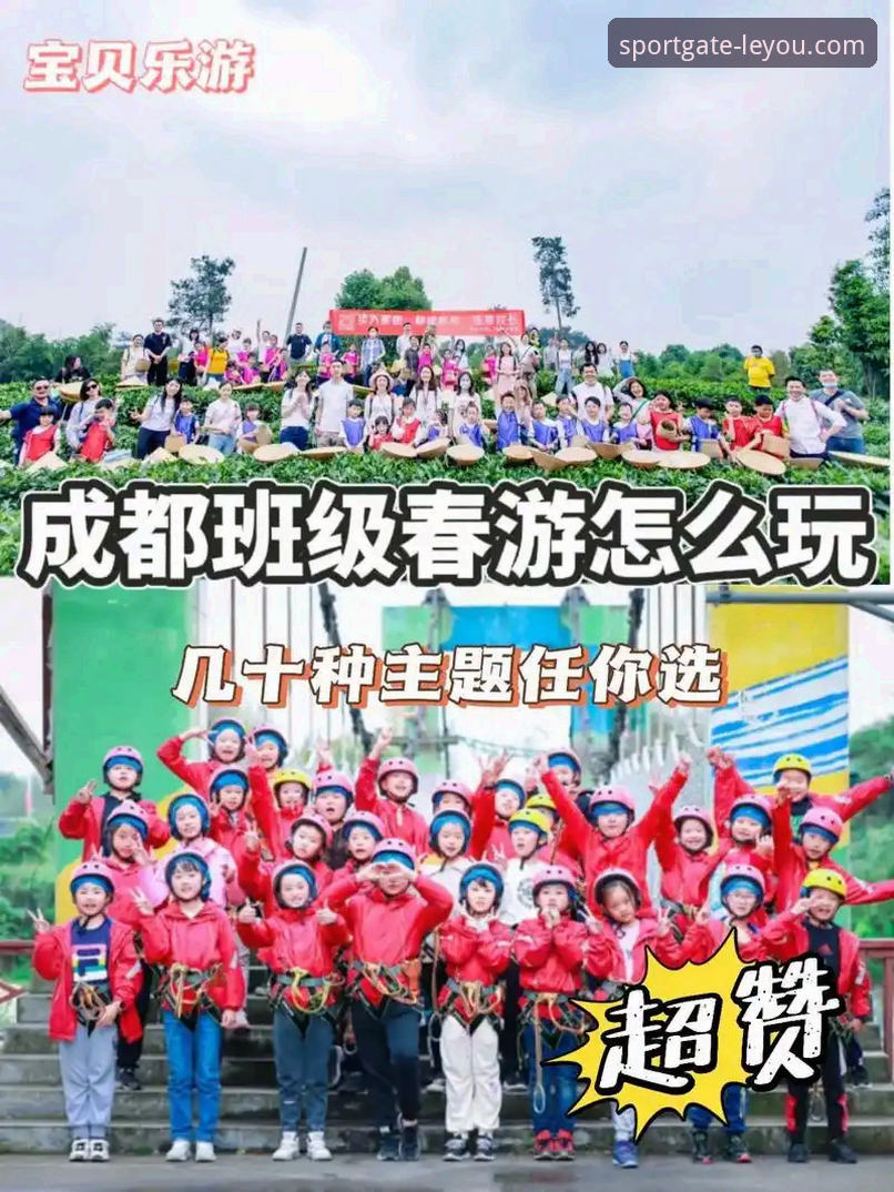 乐游体育苹果版常见问题详解与解决方案