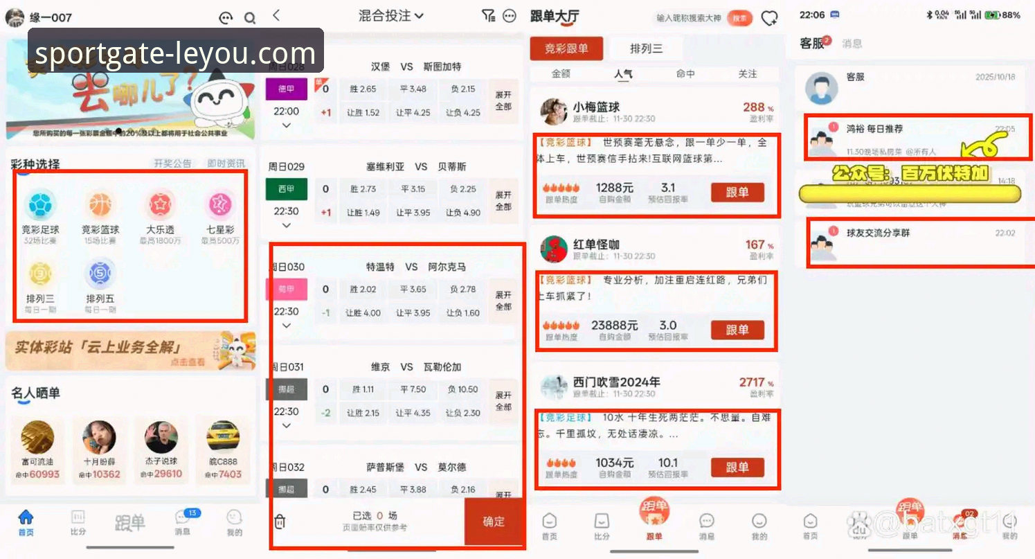 揭秘乐游体育平台正规性真相：资深玩家实操验证报告